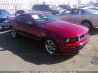 2006 Ford Mustang 1ZVFT82H965250929