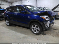 2013 Ford Escape 1FMCU9GX0DUD79407