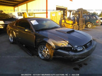 2002 Ford Mustang GT 1FAFP42X12F241028