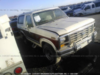 1986 Ford Bronco U100 1FMDU15N4GLB02504