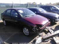 2007 Ford Focus 1FAFP34N47W280502