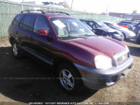 2003 Hyundai Santa Fe GL KM8SB12B13U549187