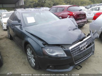 2011 Audi A4 PREMIUM PLUS WAUEFAFL9BN037272