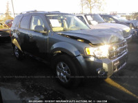 2010 Ford Escape 1FMCU0EG6AKD18584