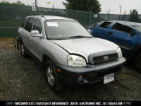 2003 Hyundai Santa Fe GLS/LX KM8SC13D53U517615