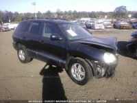 2004 Hyundai Santa Fe KM8SC73D14U854142