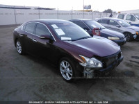 2013 Nissan Maxima 1N4AA5AP3DC836728