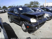 2005 Hyundai Santa Fe GLS/LX KM8SC73E15U026019