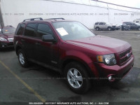 2012 Ford Escape 1FMCU0DG9CKB64991