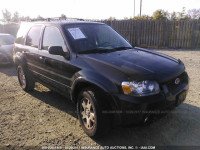 2007 Ford Escape LIMITED 1FMYU941X7KB97008