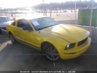2005 Ford Mustang 1ZVFT80N855252615