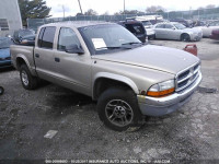 2002 Dodge Dakota 1B7HG48N42S518416