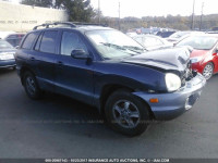 2004 Hyundai Santa Fe GLS/LX KM8SC73D34U746900