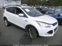 2013 Ford Escape 1FMCU9H95DUD21888