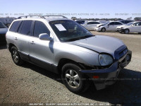 2006 Hyundai Santa Fe KM8SC13D26U079804