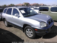 2004 Hyundai Santa Fe GLS/LX KM8SC13E84U699479