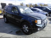 2008 Ford Escape 1FMCU03Z78KB42367