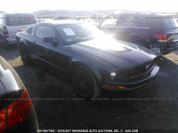 2008 Ford Mustang 1ZVHT80N685207024