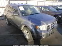 2008 Ford Escape 1FMCU02Z98KB59320