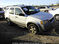 2001 FORD ESCAPE 1FMYU03111KF99469