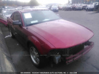 2006 Ford Mustang 1ZVFT80N365220091