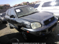 2004 Hyundai Santa Fe GLS/LX KM8SC13DX4U636391