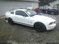 2005 Ford Mustang 1ZVFT80N955116011