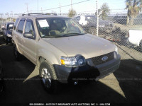 2007 Ford Escape 1FMCU94127KB17372