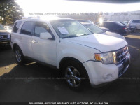 2010 FORD ESCAPE 1FMCU9EG3AKA12009