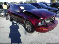2007 Ford Mustang 1ZVFT80NX75274697