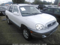 2004 Hyundai Santa Fe KM8SB12B74U844215