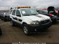 2007 Ford Escape 1FMYU49H87KB70818