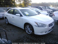 2009 NISSAN MAXIMA S/SV 1N4AA51E19C840539