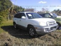 2006 Hyundai Santa Fe KM8SC13E36U078671