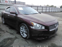 2010 NISSAN MAXIMA S/SV 1N4AA5AP3AC817088