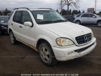 2002 Mercedes-benz ML 4JGAB54E42A305026