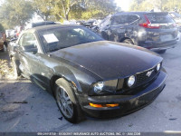 2006 Ford Mustang 1ZVFT85H865185616