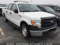 2014 Ford F150 1FTEW1CMXEFB67124