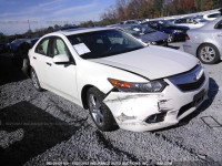 2011 ACURA TSX JH4CU2F6XBC010463