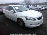 2009 Honda Accord 1HGCP36839A010392