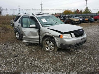 2006 FORD FREESTYLE SEL 1FMZK02156GA23924