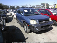 2003 Hyundai Santa Fe GLS/LX KM8SC13D43U356030