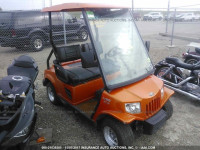 2010 Golf Cart 5TSTE2431AG121337