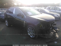 2011 Cadillac SRX PERFORMANCE COLLECTION 3GYFNBEY7BS512057