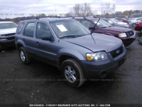 2007 Ford Escape XLS 1FMYU02Z67KB70022