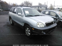 2005 Hyundai Santa Fe GLS/LX KM8SC13D25U948044