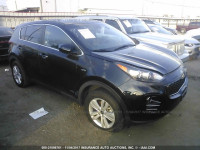 2017 KIA SPORTAGE LX KNDPMCAC8H7144864