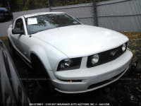 2005 FORD MUSTANG 1ZVFT80N655201551