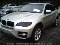 2009 BMW X6 5UXFG43569L223903