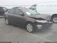 2012 KIA Forte EX KNAFU4A27C5561855